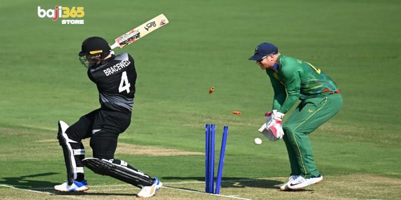 Cricket Betting on Baji365 — IPL, BPL & International Matches
